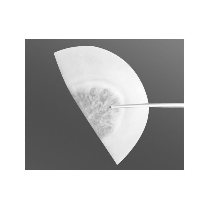 Tutoplast® Cornea with Sclera