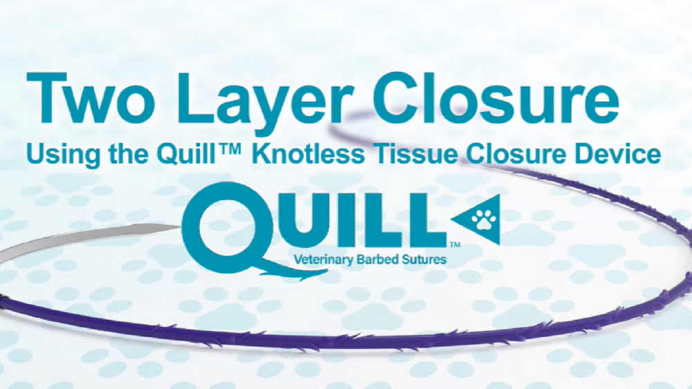 How To Use Quill Vet Corza Medical